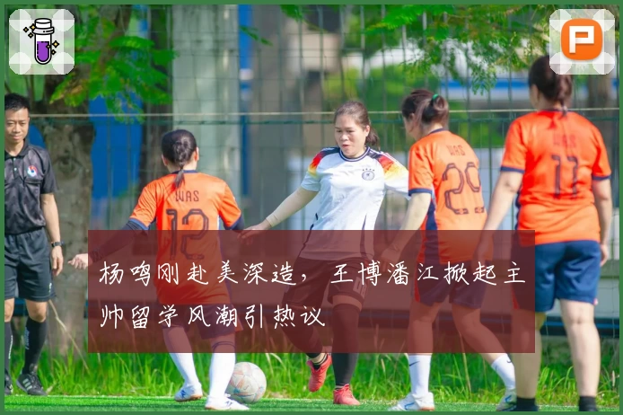 杨鸣刚赴美深造,王博潘江掀起主帅留学风潮引热议