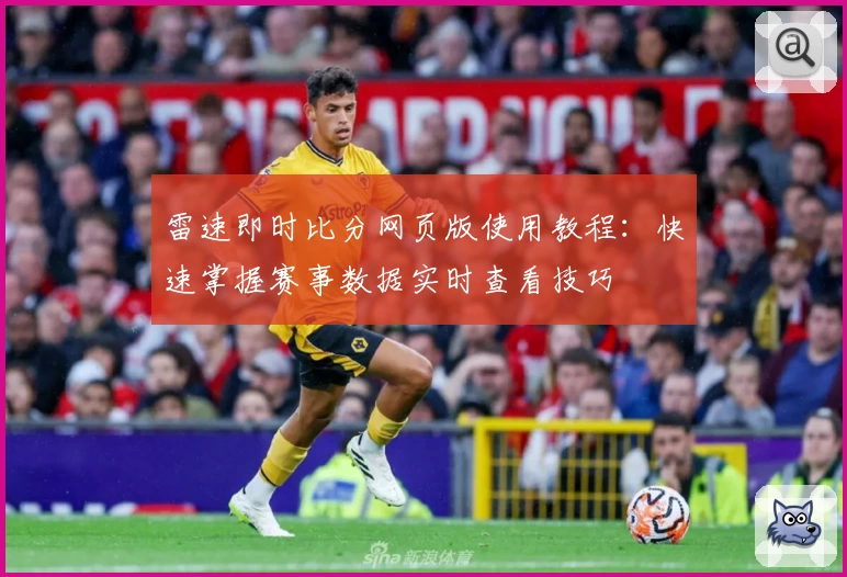 雷速即时比分网页版使用教程：快速掌握赛事数据实时查看技巧
