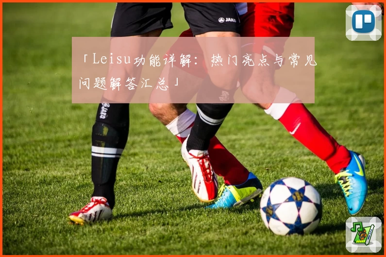 「Leisu功能详解：热门亮点与常见问题解答汇总」
