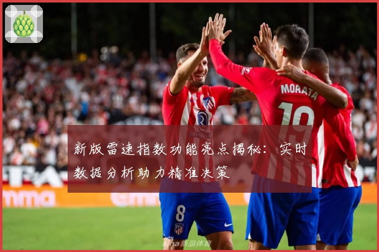 新版雷速指数功能亮点揭秘：实时数据分析助力精准决策